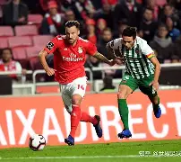 开云体育官网-葡超赛后再迎强敌,北京国安内部沟通,主帅态度:媒体盛赞,临场指挥获称赞(强行入侵续集拍摄进度)